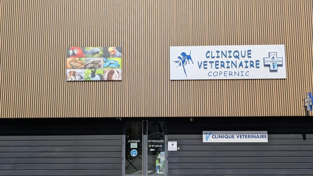 Clinique Vétérinaire Churchill - photo 3