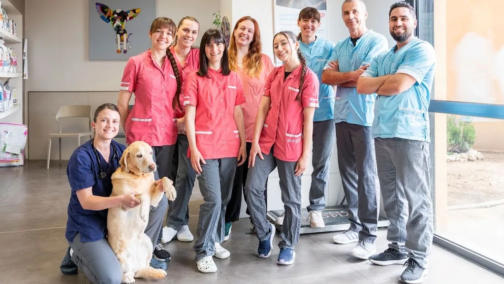 clinique vétérinaire Pollicardo - photo 3