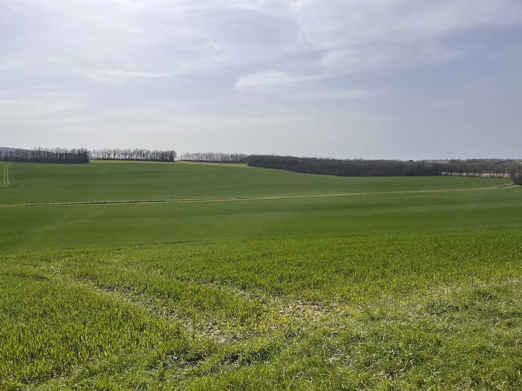 Dumont de Chassart - photo 2