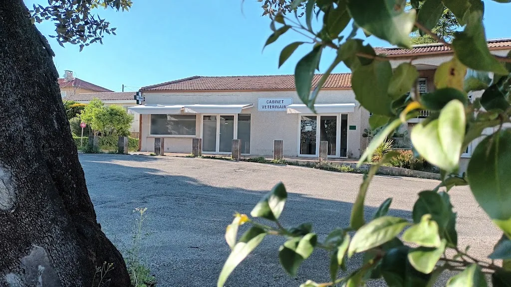 Clinique vétérinaire Bertrand | Libert - photo 1