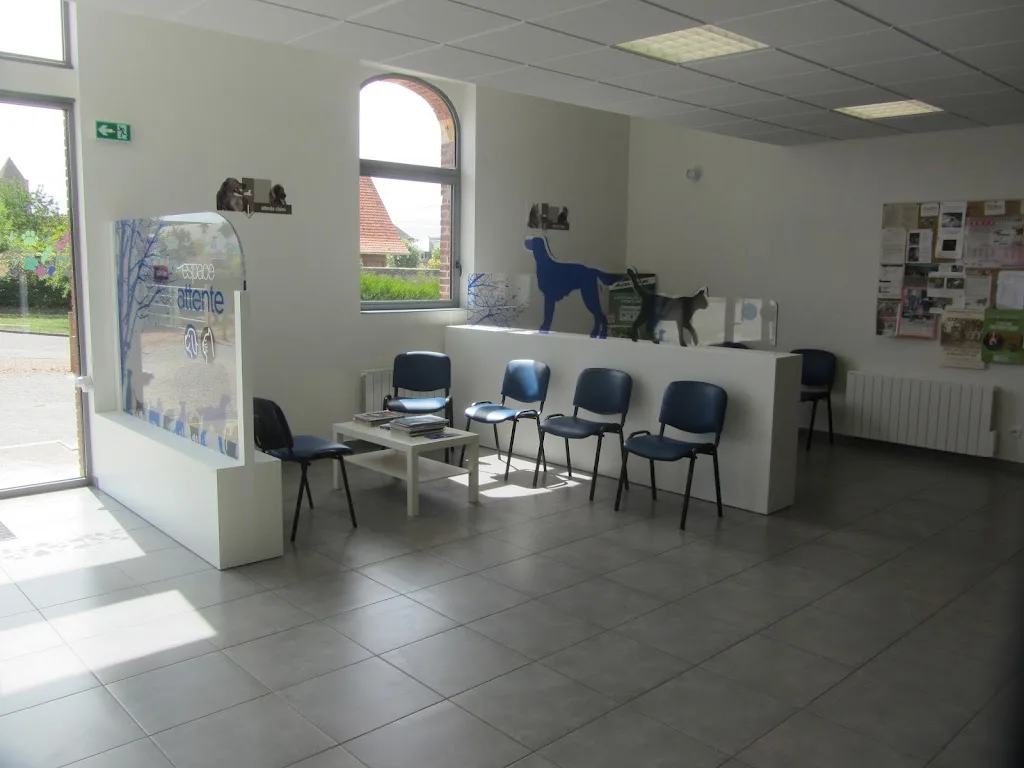 Clinique vétérinaire de la porte d'Auge - photo 1