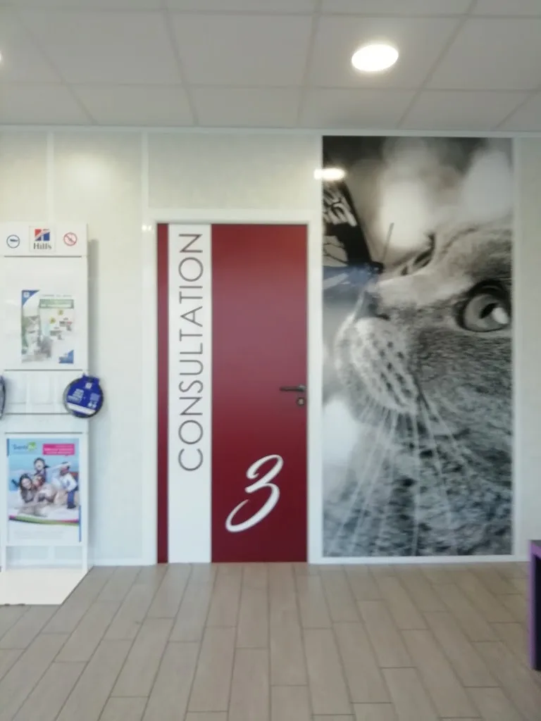 Clinique Vétérinaire MERIDIEN' VET - Médecine, chirurgie et scanner - photo 1