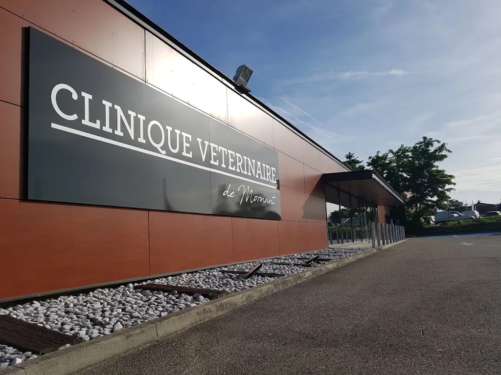 Clinique Vétérinaire de la Condamine - photo 3