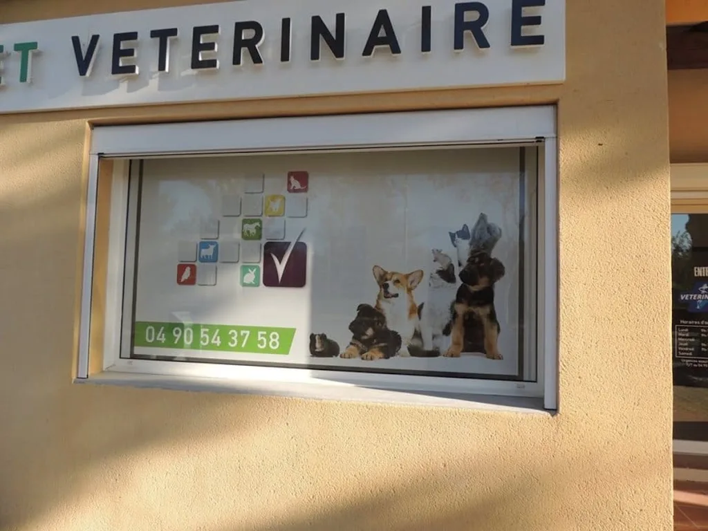 Clinique Vétérinaire des Oliviers Docteurs Valli et Sevette - photo 3
