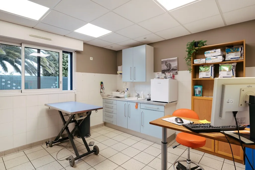 Clinique vétérinaire de la Presqu'île - Quiberon - Sevetys - photo 1