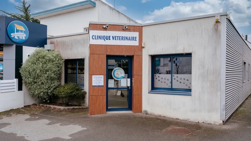 Clinique vétérinaire de la Presqu'île - Quiberon - Sevetys - photo 3