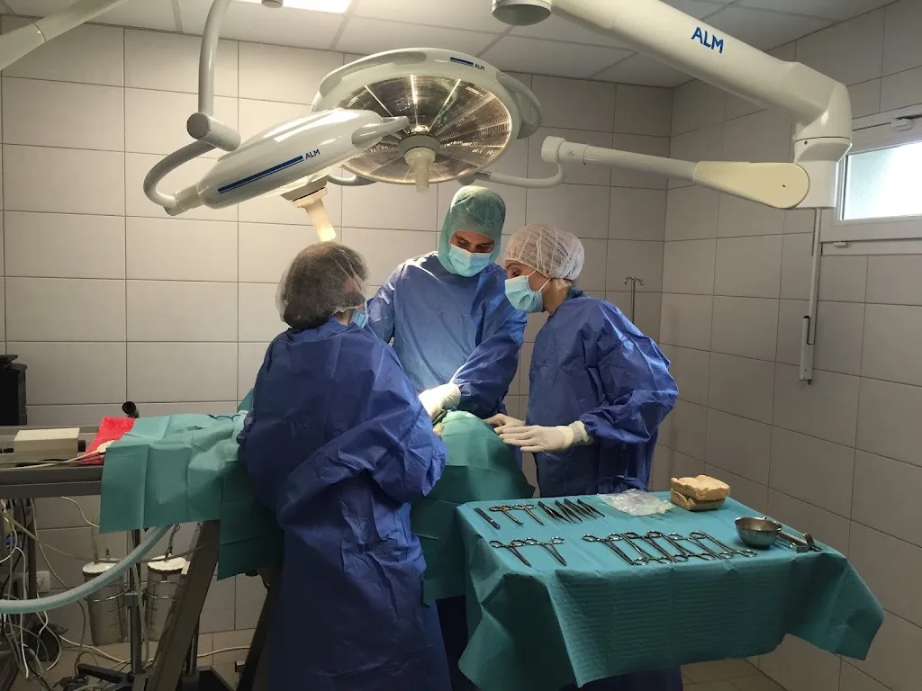 Clinique vétérinaire du Cèdre - photo 1