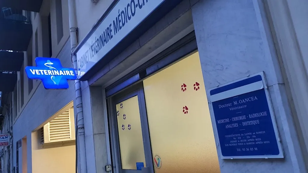 Clinique Veterinaire - photo 2