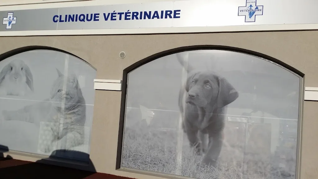 Clinique Vétérinaire - photo 2