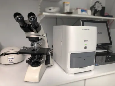 Clinique Vétérinaire Corneille