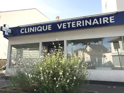 Vétérinaires Docteur Philippe Bernadine