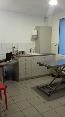 cabinet veterinaire Remy Aurélie