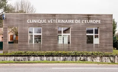 Clinique Vétérinaire Du Chat Pitre