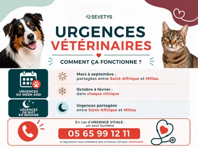 Clinique vétérinaire de Saint-Affrique - Sevetys