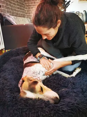 Madeleine Miesch - Ostéopathe animalier, équin, canin, félin, bovin