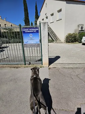 Vétérinaire De L'Olivet