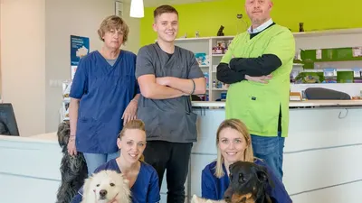 Cabinet veterinaire VETODONZY