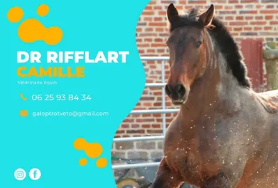 Galop & Trot Véto