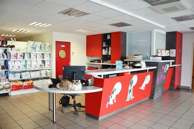 Clinique Vétérinaire Anibio - Aire sur l'Adour