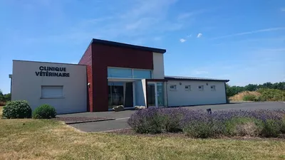 Cabinet Vétérinaires Du Haut Bocage