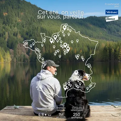 Clinique vétérinaire de Montigny-en-Ostrevent - Sevetys