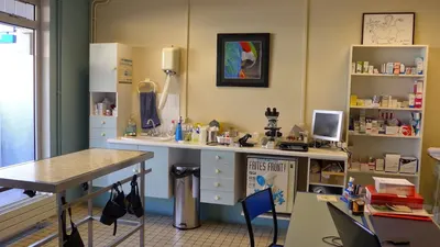 Cabinet medico-chirurgical Vétérinaire Betbeder C. et Ricard J-F.