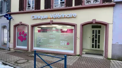 Docteur Danielle Saintenois