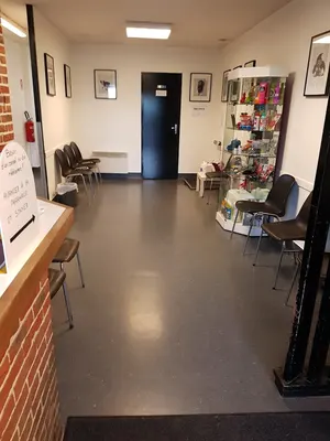 Vétérinaire Valenciennes - Clinique Valvet des Drs VanWynsberghe & Verzura