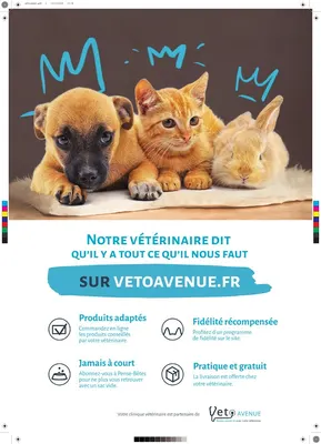 Clinique Vétérinaire Du Bocage