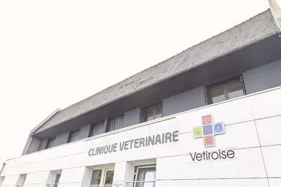 Clinique équine de Landivisiau