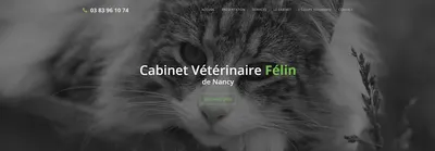 Mon Chat et Moi, vétérinaires à Essey-lès-Nancy (Nancy Est)