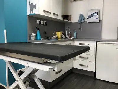 Clinique Vétérinaire Calluna