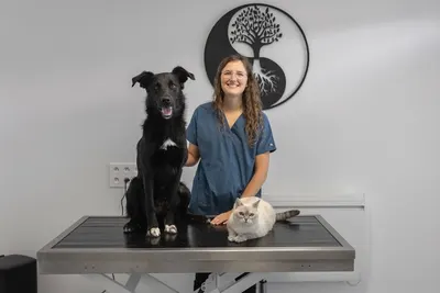CLINIQUE VETERINAIRE NATURA'VET