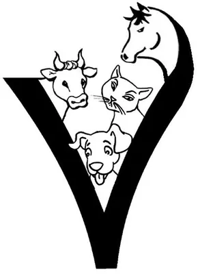 SOCIETE CIVILE PROFESSIONNELLE DE VETERINAIRES SOUCHERE PAGES CAINAUD