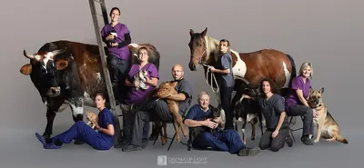 Clinique Vétérinaire de la Maladière - L'Horme