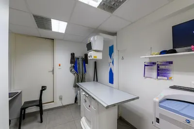 Clinique vétérinaire de la Forêt - Ferrières-en-Brie - Sevetys