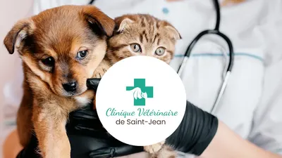 Clinique vétérinaire des Açores