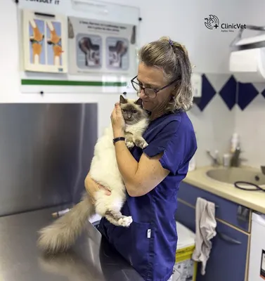 La Compagnie des Vétérinaires