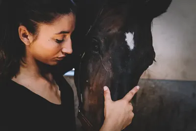 vetokineosteo - Dr Vet Fleur MARCEL