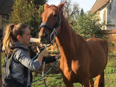 Dentiste équin Charlotte Augiat