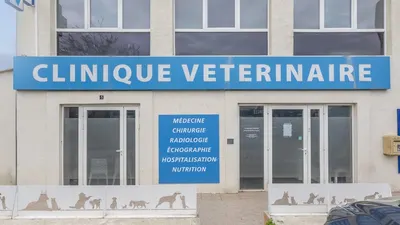 Clinique Vétérinaire des Oliviers Docteurs Valli et Sevette